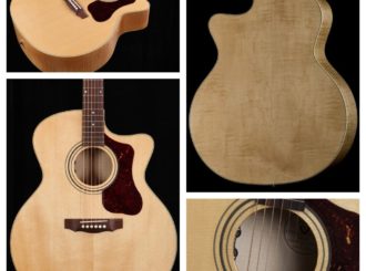 Guild F-50CE Standard -  korpulentní ale jemná a citlivá blondýnka