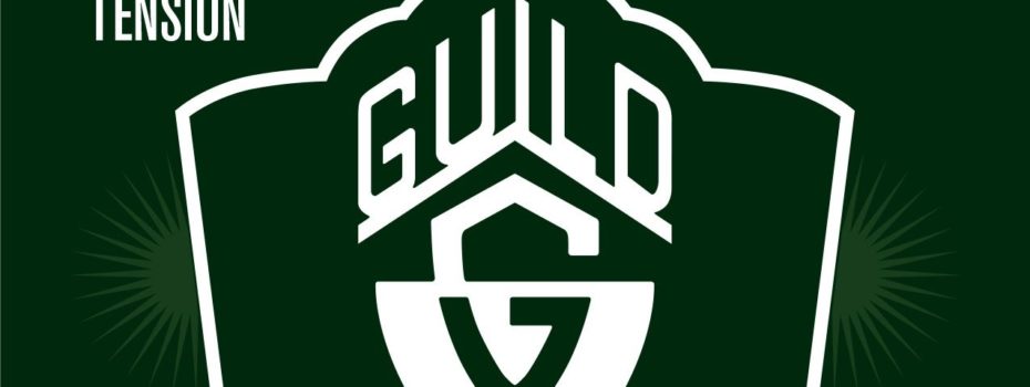 Struny GUILD pro akustické nástroje