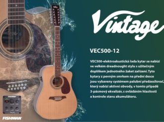 Vintage Dreadnought 12 Series