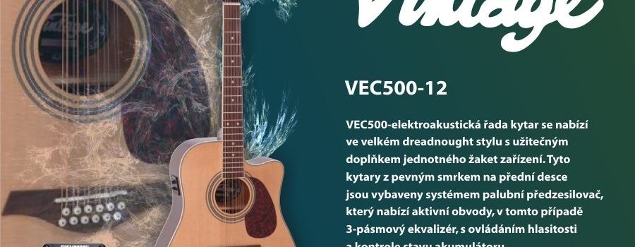 Vintage Dreadnought 12 Series