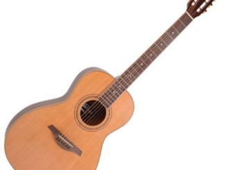 Vintage V880 Acoustic Folk Series