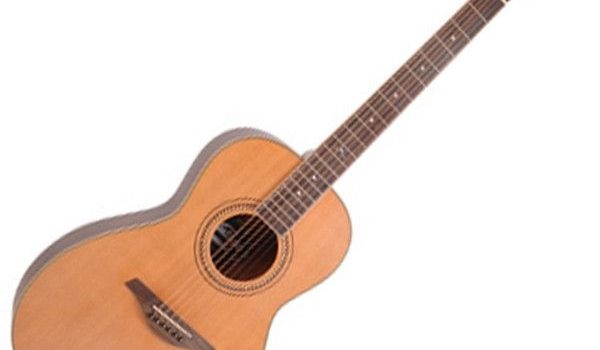 Vintage V880 Acoustic Folk Series