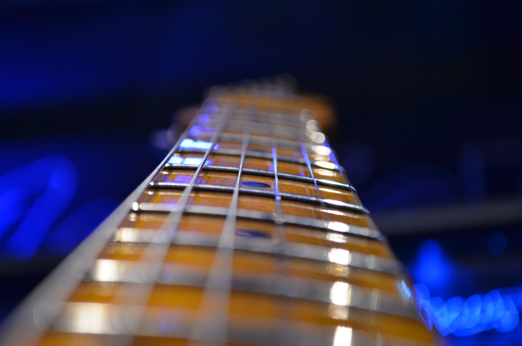 Fender Custom Shop v musicdata