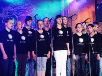 Obrázek č.9 article Světlo pro světlušku 2010